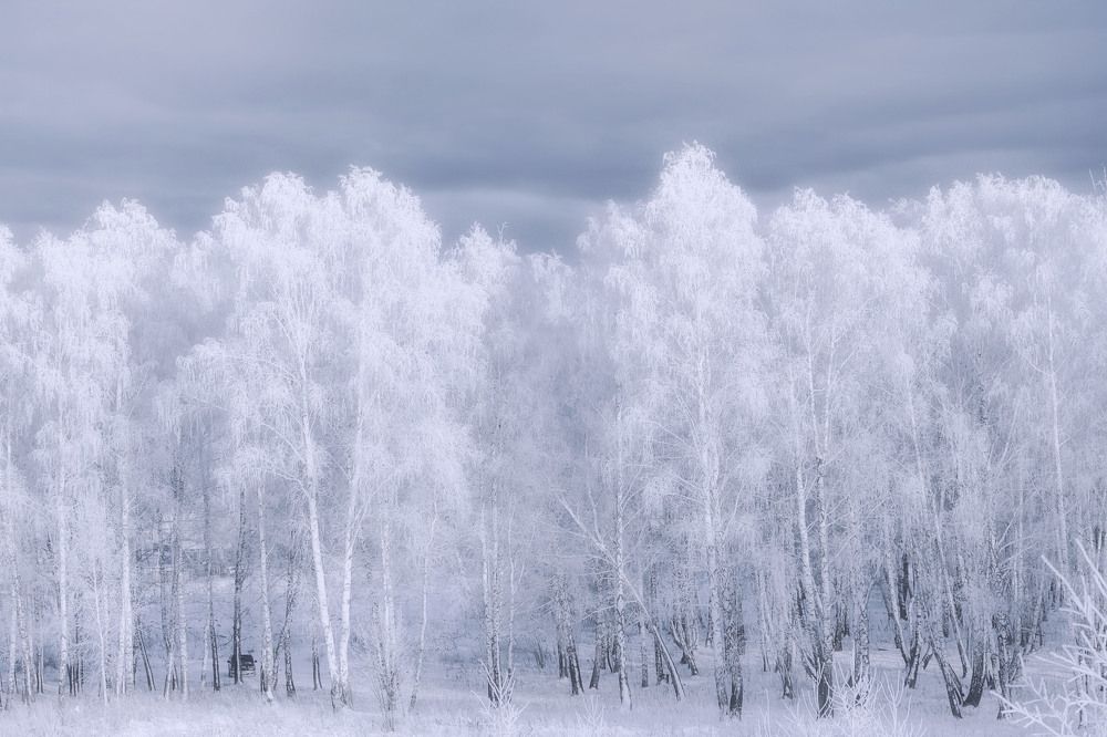 Photograph by Юлия Лушникова
