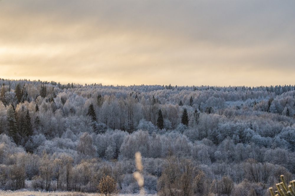 Photograph by Николай Лысцев