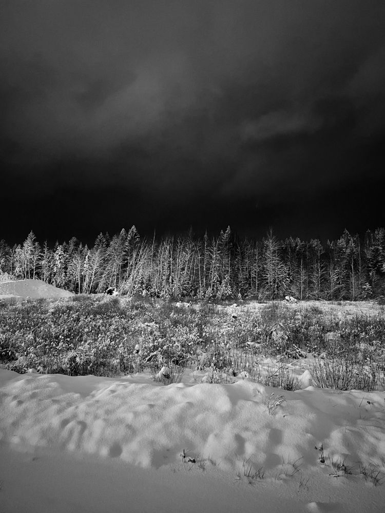 Photograph by Sergei Komlev