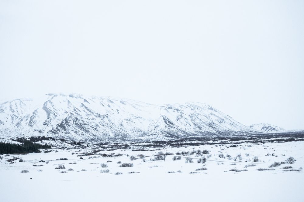 Photograph by Sergei Komlev