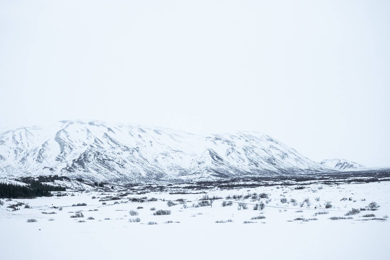 Фотография #8610400