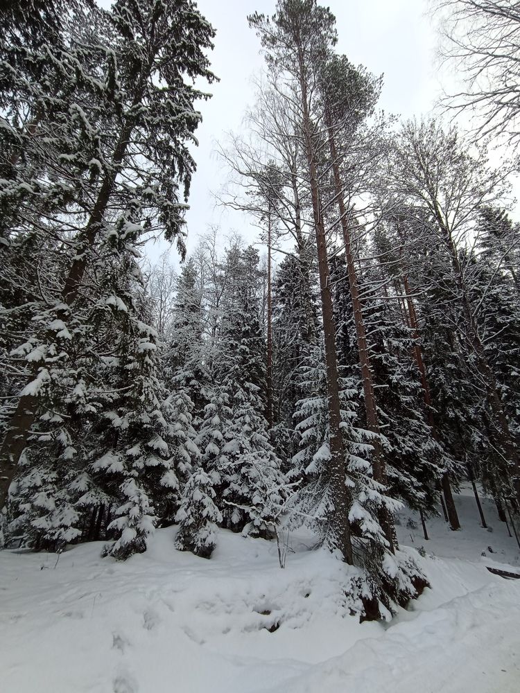 Фотография автора Natalia Khodina