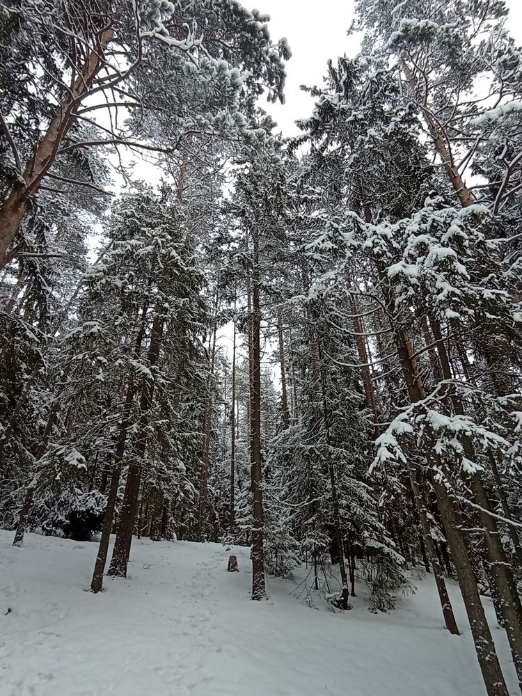 Фотография автора Natalia Khodina