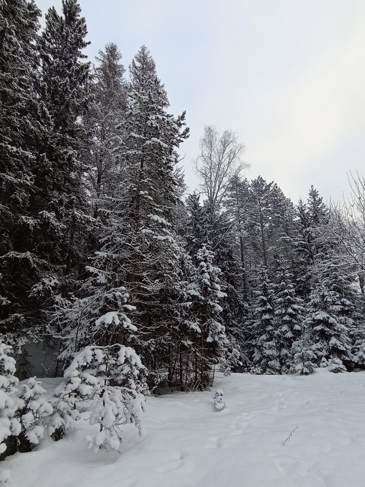 Фотография автора Natalia Khodina