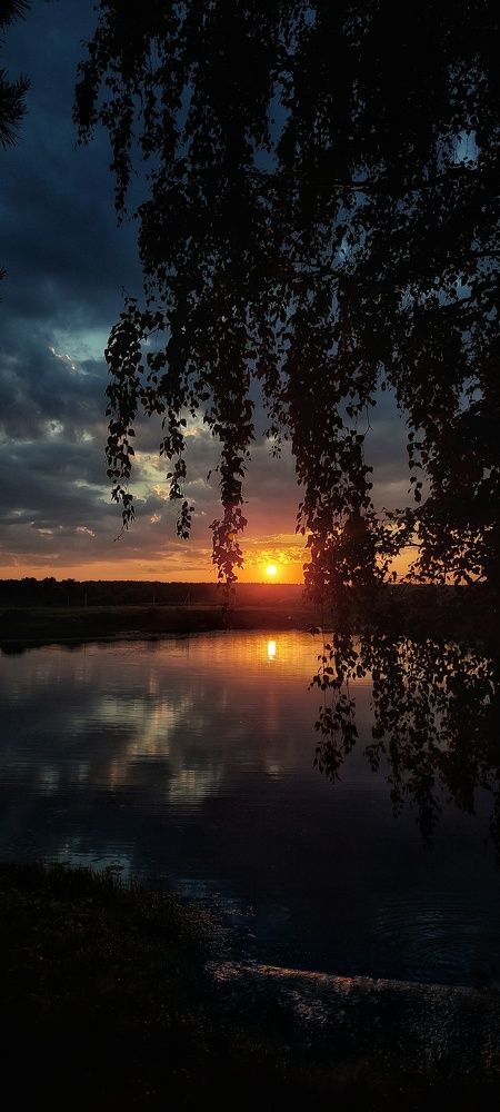 Golden sunset at the bay