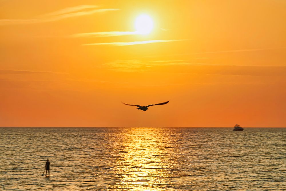 Под Солнцем