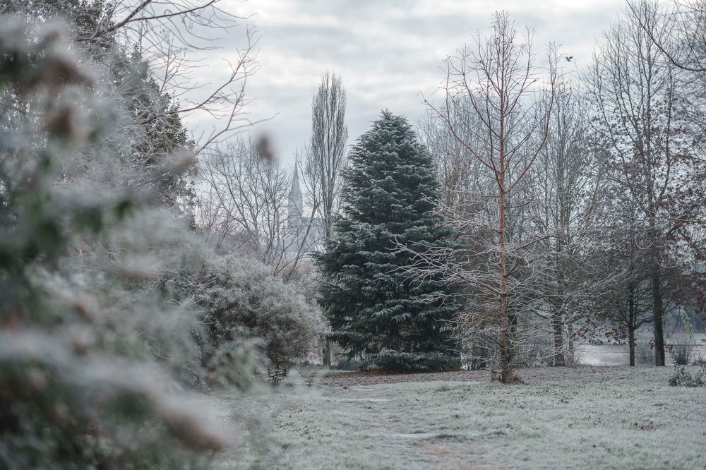 Фотография автора Диана Акопян