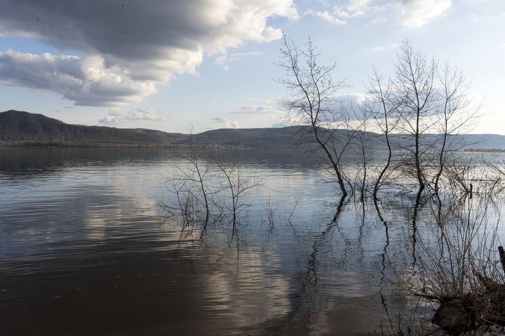 Photograph by Инесса Абрамова