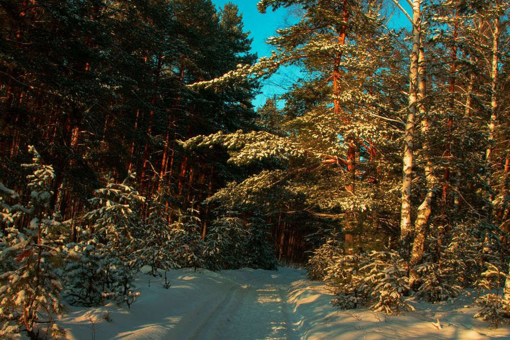 Photograph by Ангелина Карелина