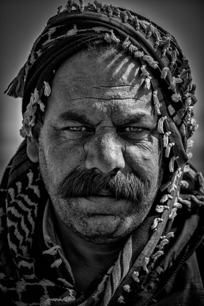 Photograph by ho3in afroozeh