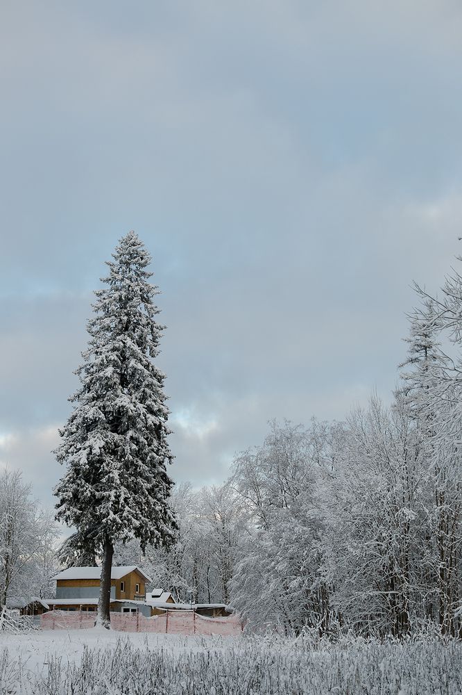 Photograph by Наталья