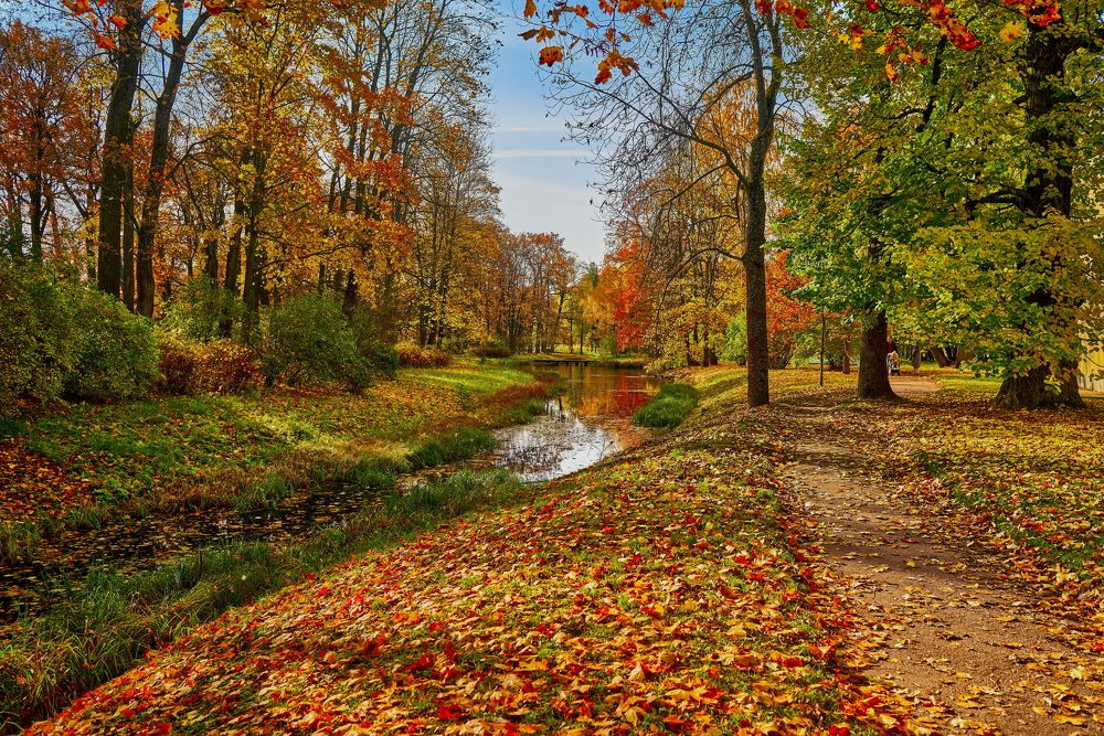 Photograph by Устинов Андрей