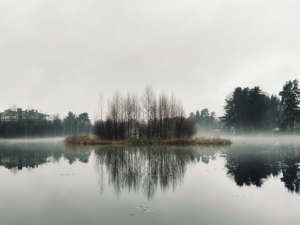 Photograph by Evgenia Barinova