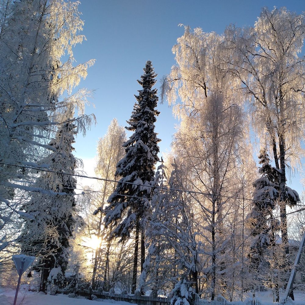 Photo #8610827