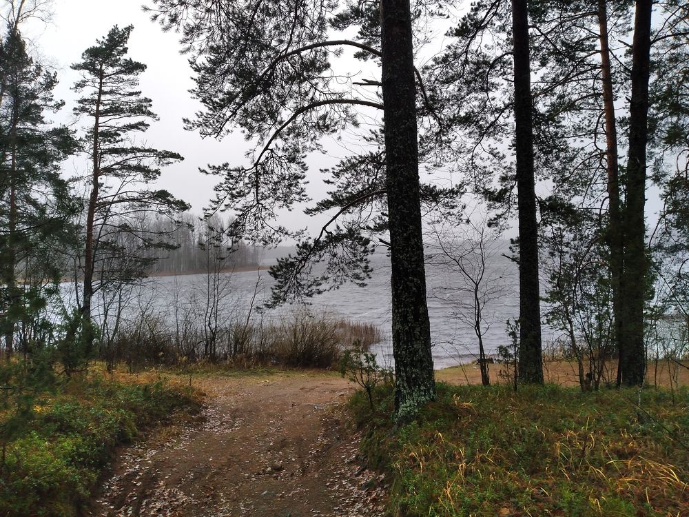 Photo #8610930