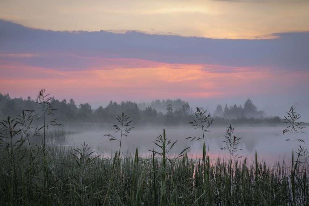 Photograph by Гусева Елена