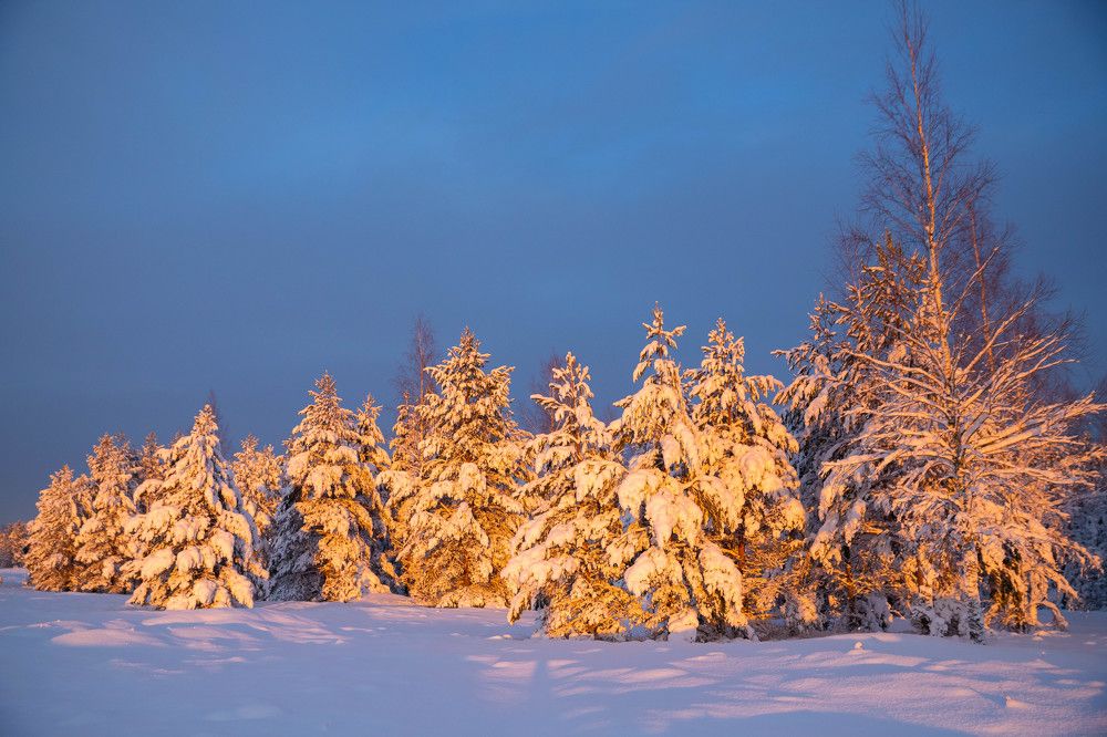 Photograph by Вязникова Анна