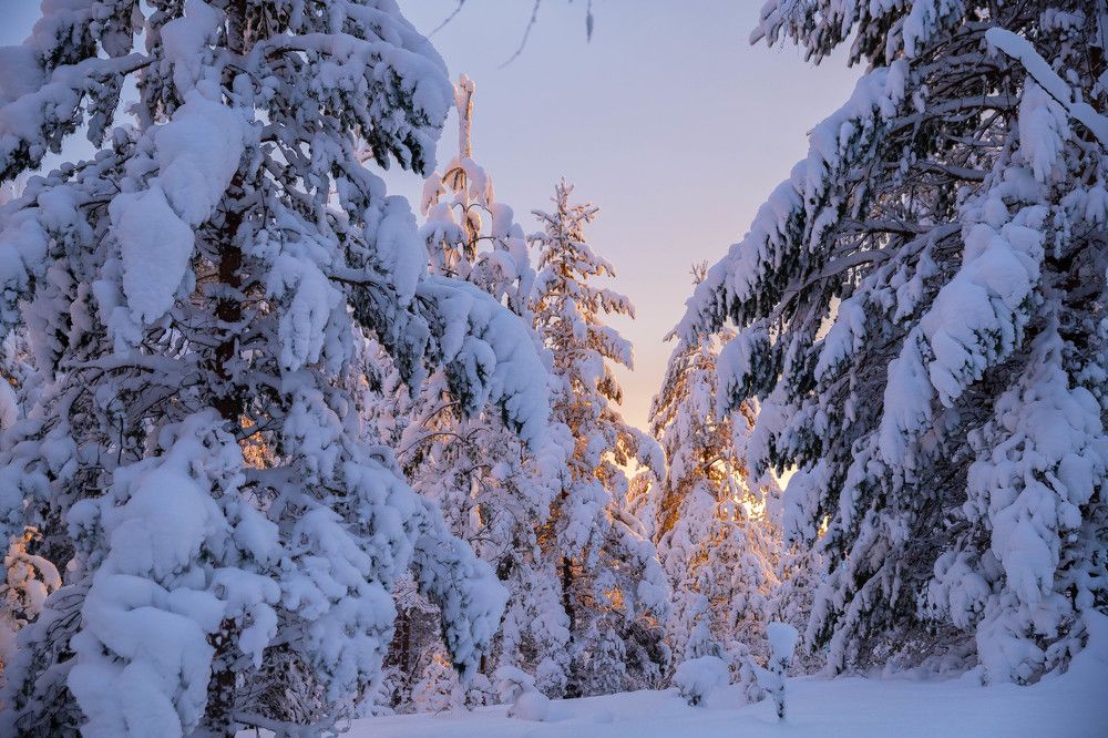 Photograph by Вязникова Анна