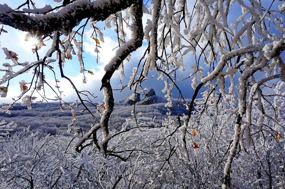 Photograph by Вадим Карпов