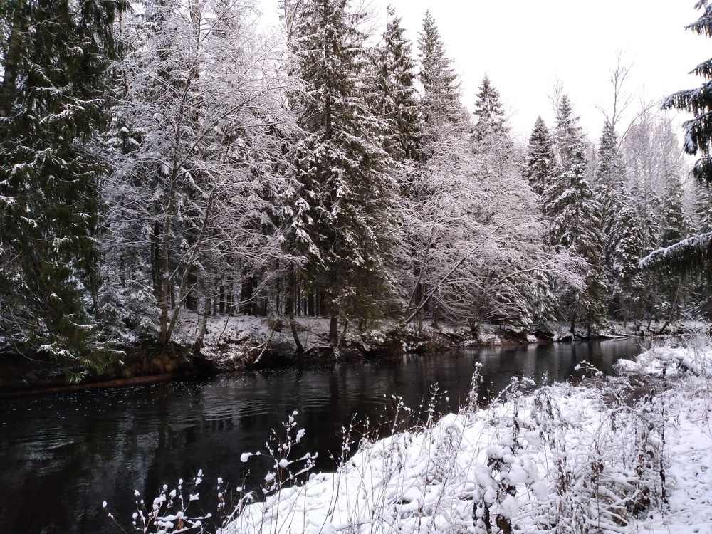 Photo #8611089