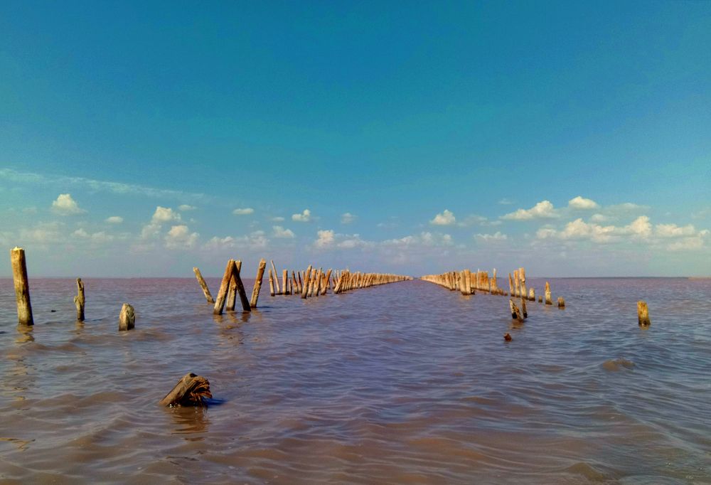 Photograph by Стаскевич Татьяна