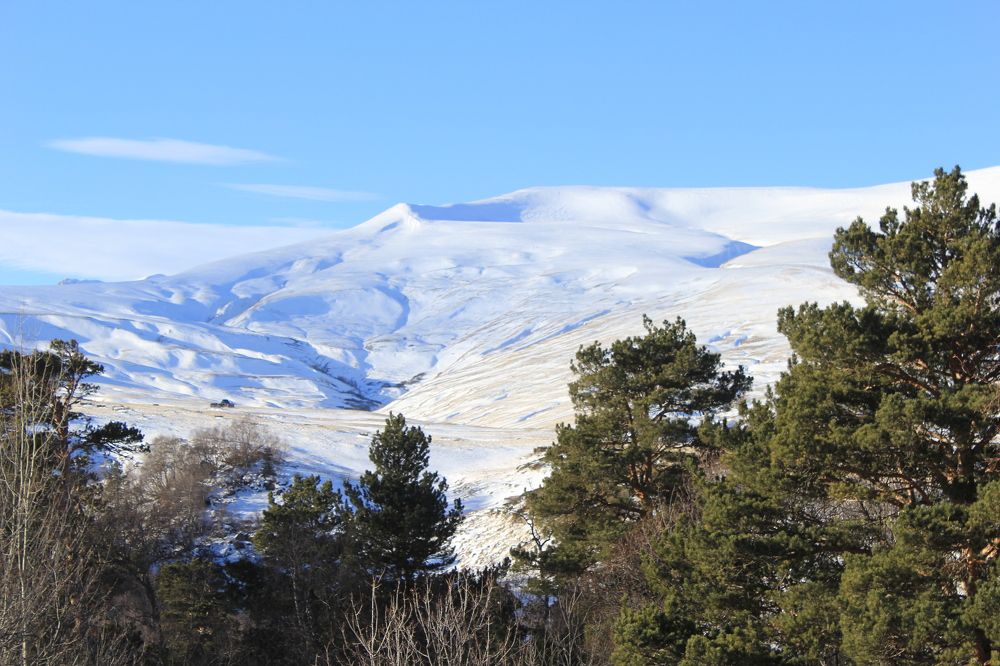 Photograph by Владимир