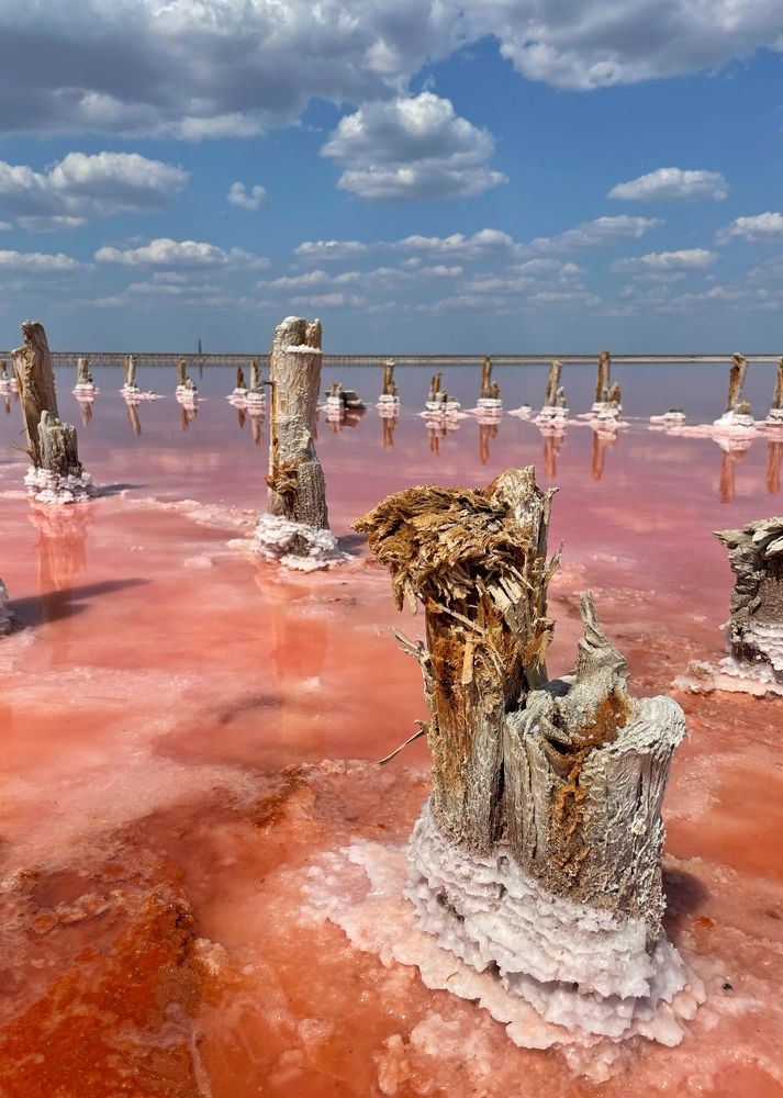 Photograph by Antonina Marchenko