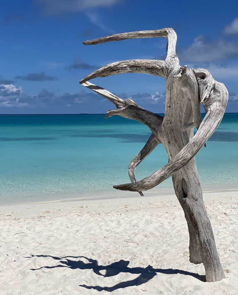 Photograph by Татьяна Маслова