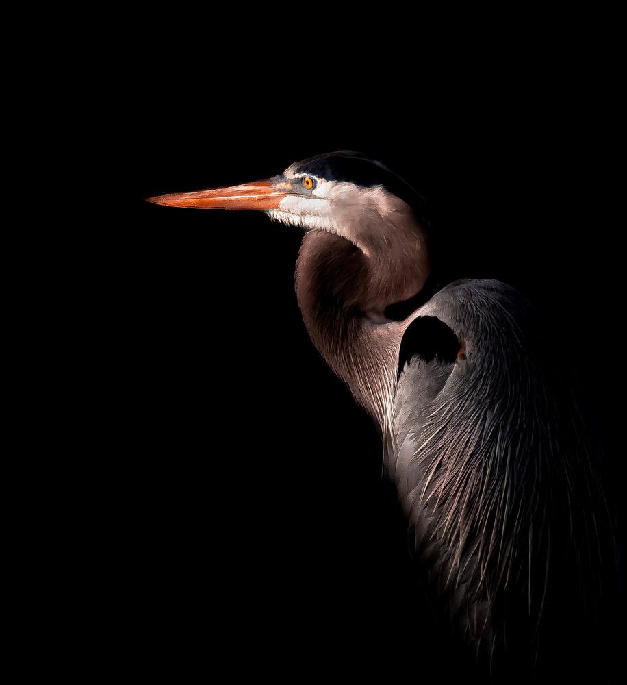 Photograph by jackie schletter