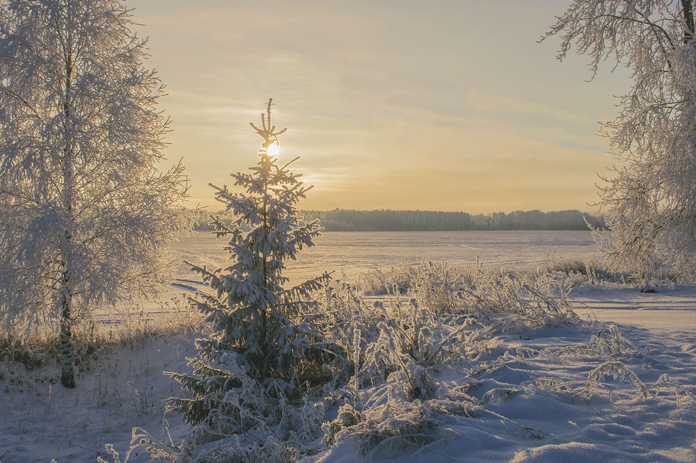 Фотография автора Галина Луценко