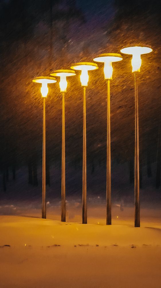 Photograph by Татьяна Дашкевич