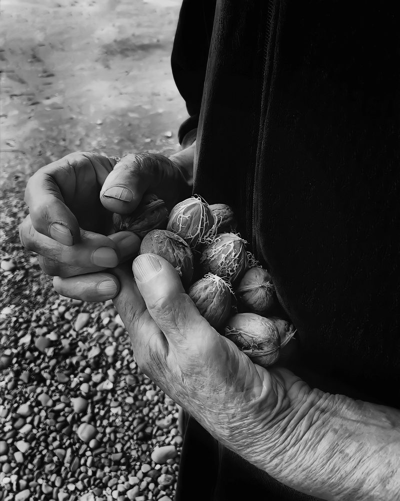 Photograph by Гельфман Галина