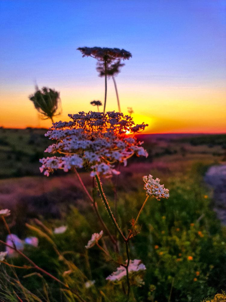 Photograph by Сергей Мамалюк
