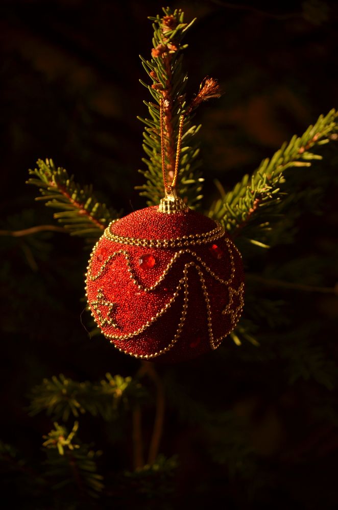 Photograph by Ольга Ковальчук