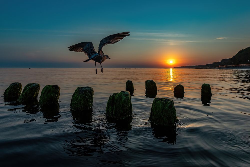 Фотография автора Дмитрий Потапов