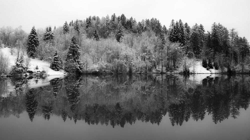 Photograph by Željko Jerneić