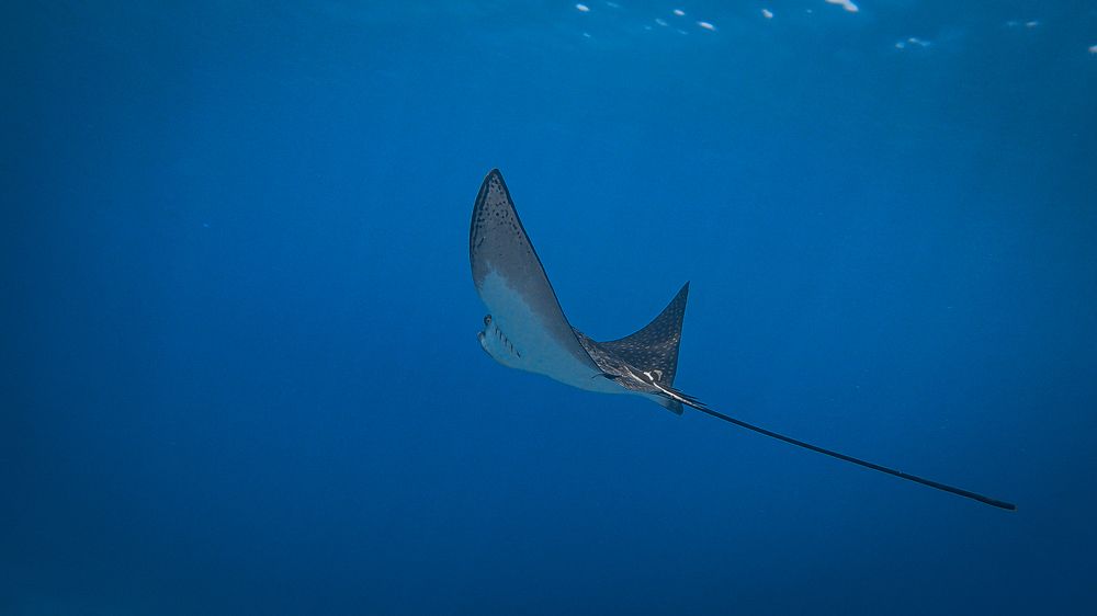 Photograph by Мария Берёзка