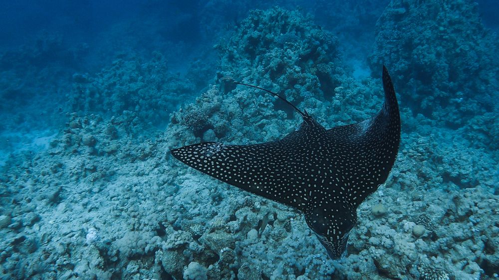 Photograph by Мария Берёзка