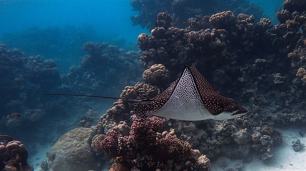 Photograph by Мария Берёзка