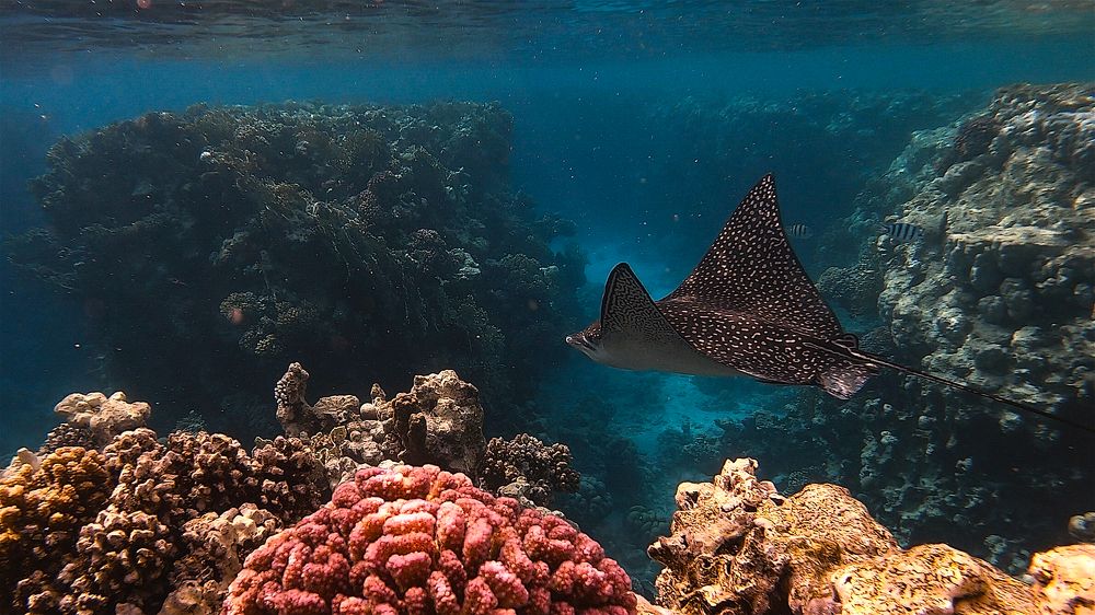 Photograph by Мария Берёзка