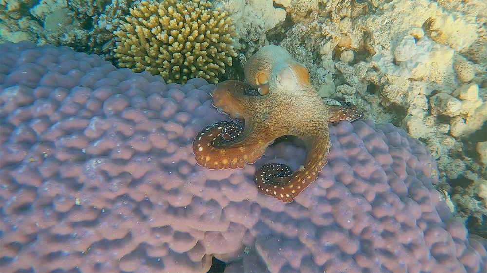 Photograph by Мария Берёзка