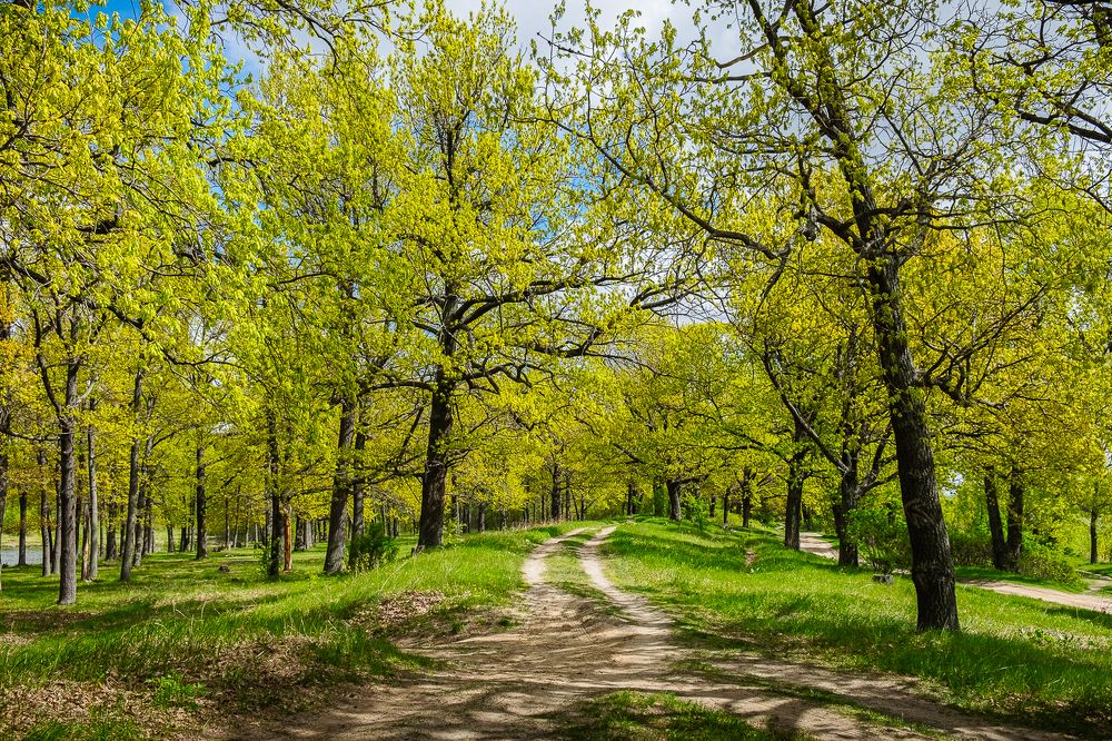 Photograph by Елена Ворошина