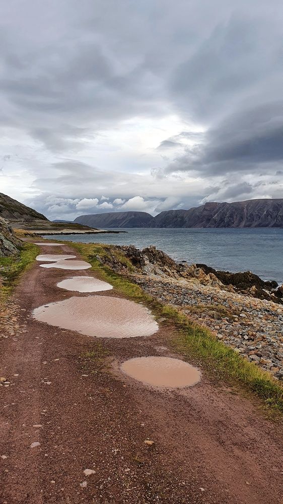 Photograph by Inna Kristiansen