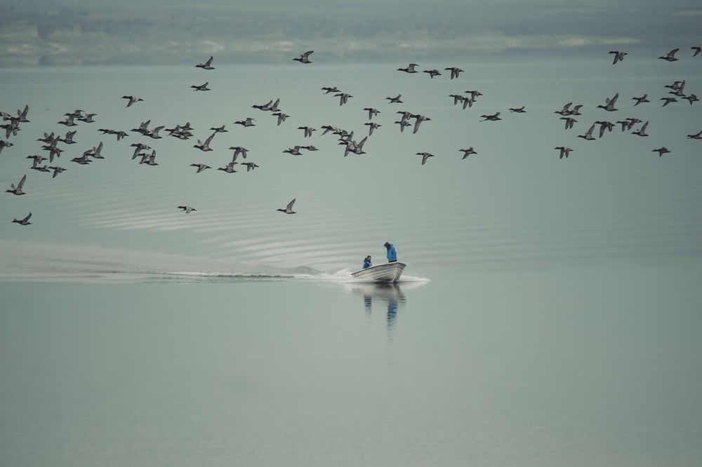 Photograph by Dimitris Vavliaras