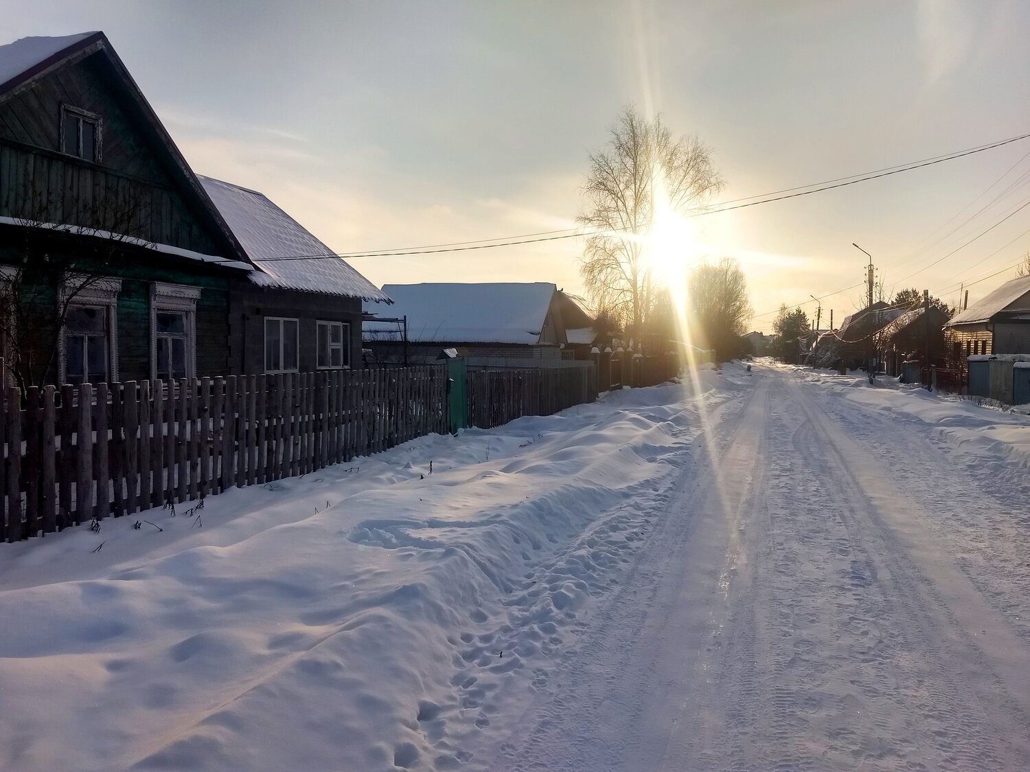 Photo #8611744
