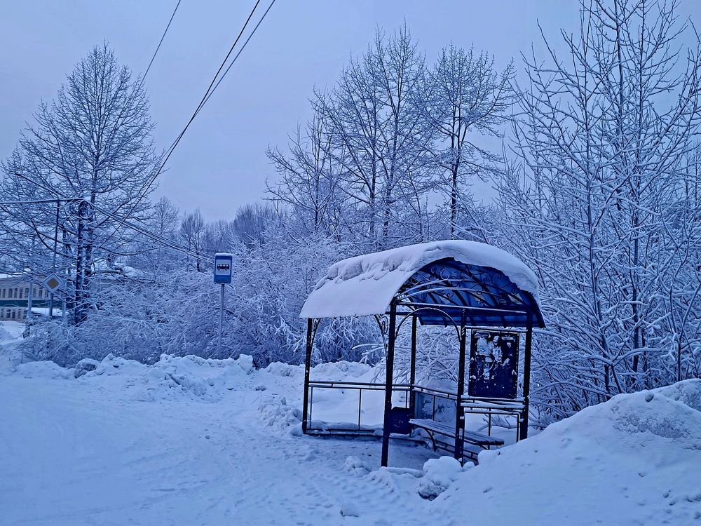 Фотография автора SOVa Aldan