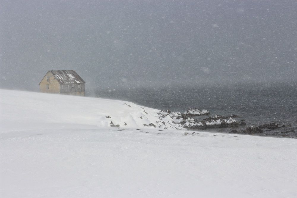 Photograph by Inna Kristiansen