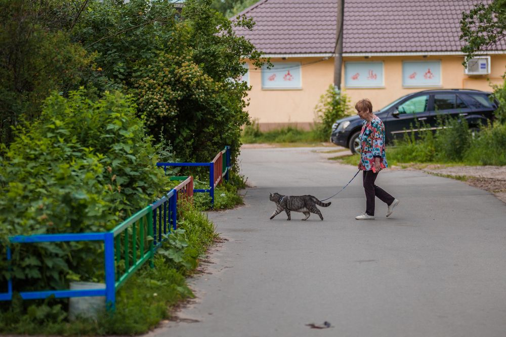 Человек и кошка