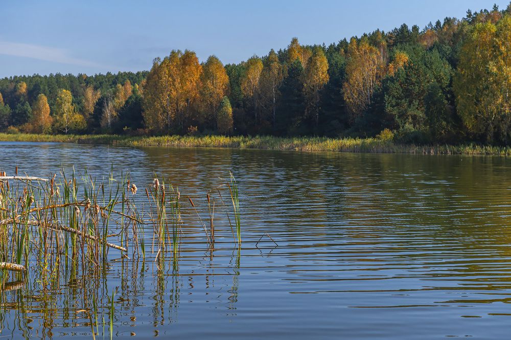 Photograph by Марина Короткова