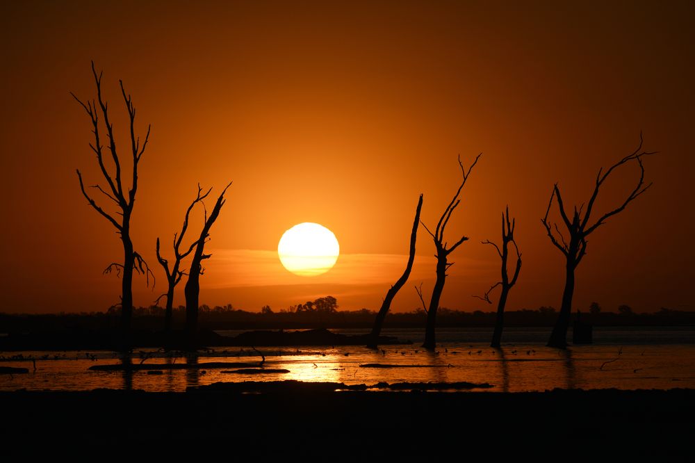 Photograph by SI SABER LOTFI